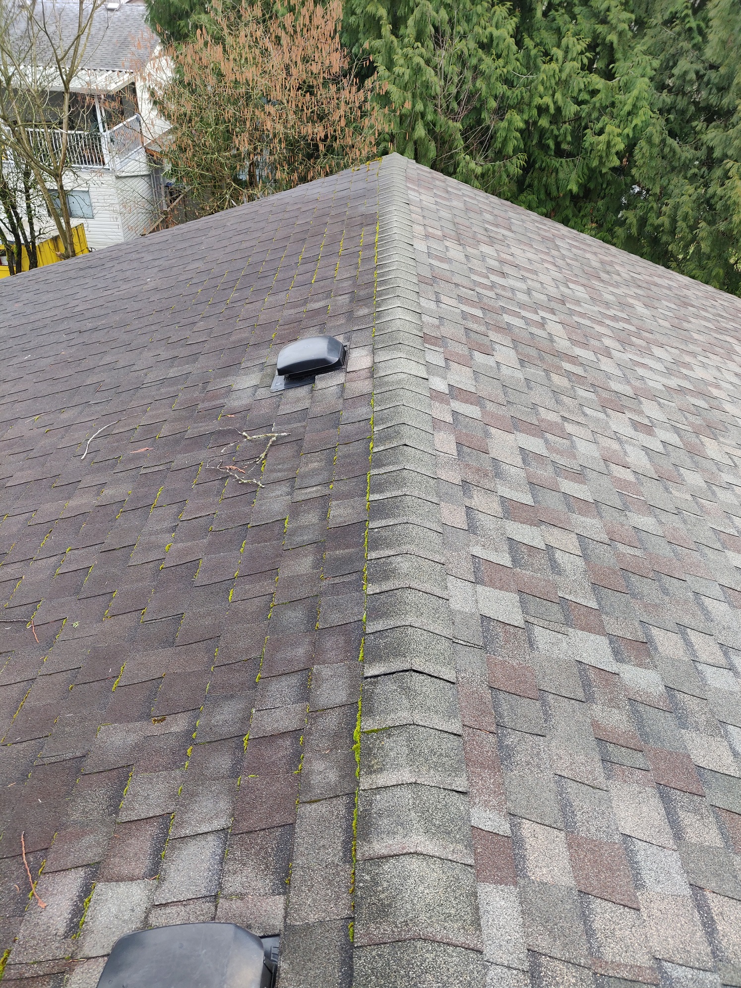 Roof Cleaning